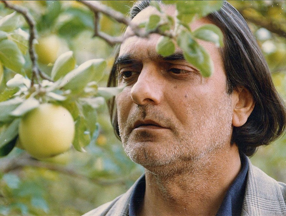 فیلم ایرانی درخت گلابی