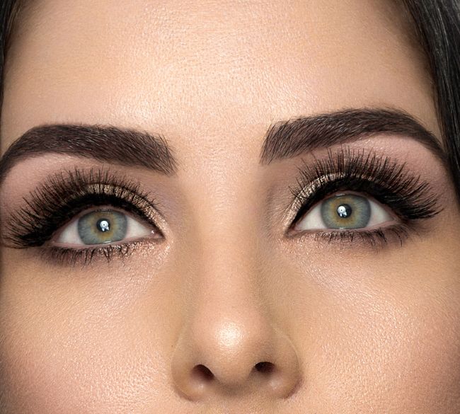 ابروی پهن و نرم